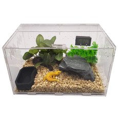 곤충 달팽이 파충류 사육장 케이지 투명 아크릴 상자, 일반 대형 30x20x16 cm, 1개