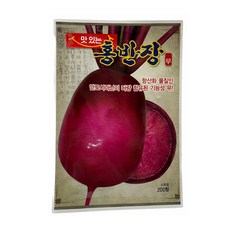 홍반장 빨간무 씨앗 200립 [23년포장] 안토시아닌 무 종자, 1개