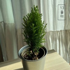 2703734f8320cb2090c680e06534ca4d12f8fdd9d5bcd62e18fab4d3cfc7.jpg