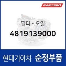 필터-오일 (4819139000) 쏘나타 EF
