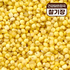 우크라이나산찰기장