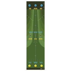 지노버 골프 경사 퍼팅매트 퍼팅연습기, 그린, 1개