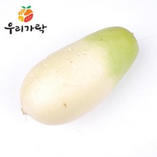 우리가락곰취