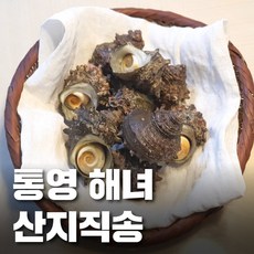 [당일채취] 통영 욕지도 해녀 뿔소라 자연산 생물 전복소라 참소라 소라 활뿔소라 뿔소라회, 1. 일반 뿔소라