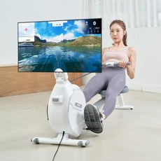 멜킨스포츠 멜킨 스마트 로잉머신 볼트윅 가정용 조정 전신운동기구 게임 노젓기 유산소 운동 기구