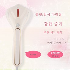 핸드스팀다리미