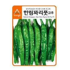 아시아종묘 한림 꽈리풋고추 씨앗종자 고추씨 풋고추씨 고추종자 꽈리풋고추씨앗, 1200개