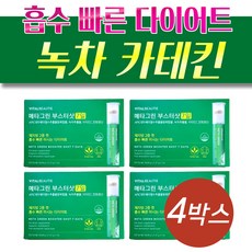 바이탈뷰티메타그린 부스터샷 카테킨다이어트 4박스 40대 중년 체지방 감소 칼로리컷팅 분해