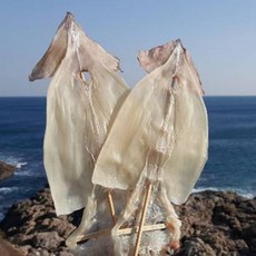 가을바다 부드러운 마른오징어 5마리 (300g 내외), 1개