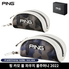 핑블루프린트