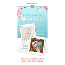 구찌고스트링