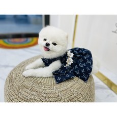 데이지꼼