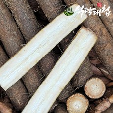 식탐대첩 국내산 햇 생우엉 2kg 상/특품, 2개