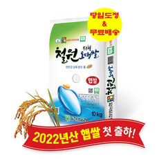 2021년에예측한미래