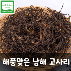 [100%국내산] 부드러운 자연산 햇 남해고사리, 2개, 100g