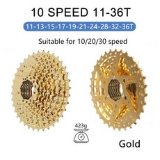 골드스타카세트