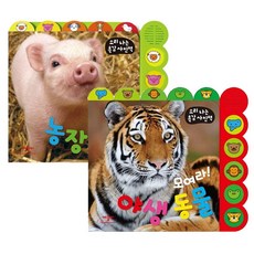 소리동화레몽카디