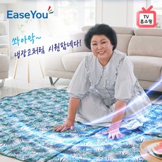 TV 홈쇼핑 정품 이순실의 냉장고매트 총 4종 풀세트 특대형1+중형1+베개2