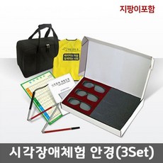 시각장애학생교육의이론과실제