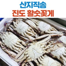 진도꽃게