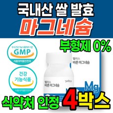 마그듀오