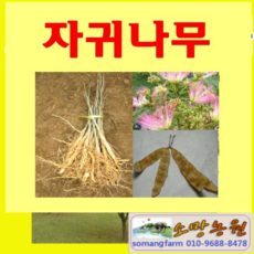 c97f96110b2345febc18bdf3070a88c8b457478bd25a1ebc3b3059dfc427.png