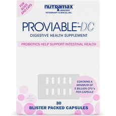 뉴트라맥스 프로바이어블 강아지 유산균 고양이 유산균 Proviable-DC 30캡슐, 선택없음