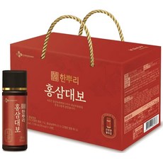 CJ제일제당 한뿌리 홍삼대보 100MLx 10병