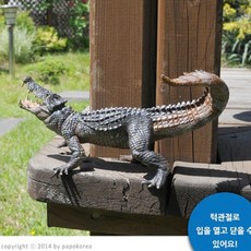 수쿠스