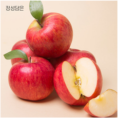정성담은 아삭한 사과, 가정용 사과 10kg 중대과