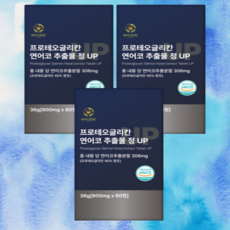 프로테오글리칸 TOP01