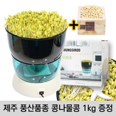 콩나물재배키트