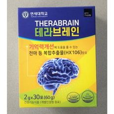 테라브레인