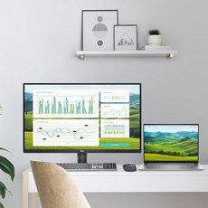 Dell(DELL) 4K 31.5인치 디스플레이 FreeSync 기술 낮은 청색광 300니트 99% sRGB 3000:1 컴퓨터 모니터 SE3223Q, 새로운 31.5 4K 300니트 로우 블