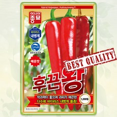 후끈왕 고추씨앗 1200립 고추종자 AS, 2개