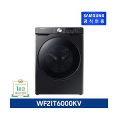 [삼성전자] [E][블랙 21KG] 삼성 그랑데 세탁기 AI 21KG [WF21T6000K, 상세 설명 참조