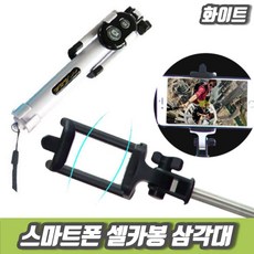 레오포토코리아