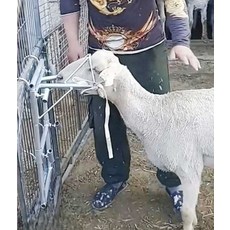 양 머리 고정기 고정대 높이조절 염소 홀더 브래킷 프레임 목장 농장 돼지 출산 카우 가축 틀, 머리 홀더(후크+로프 포함) (35kg 이내), 1개