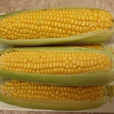 양구 햇 초당 지금 나오는 초당옥수수 산지 직송 1박스, 1박스 20입