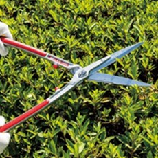 조경용 뾰족 양손가위 나무다듬기 커팅용 전가위