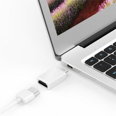 BASIX C타입 to HDMI 젠더 컨버터 H2, 실버_28924060