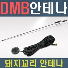 돼지꼬리안테나