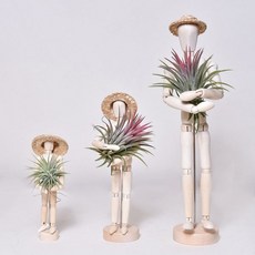 이오니세탁세제