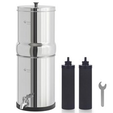 중력식 정수 필터 시스템 3.25G 스테인리스 조리대 검은색 NSF ANSI 42 인증 요소 2개 불소 금속 수위 스피갓 염소 감소, Basic * Carbon, 1.5G