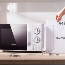 카라반전자렌지