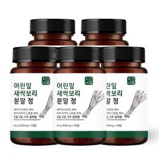 유기농 새싹보리 착즙 분말 무농약 새싹보리 분말 정 프로바이오틱스 유산균, 42g, 5개