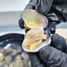 [밋앤밀] 당일채취 국내산 고흥 참바지락 (껍질바지락) 2kg, 1개