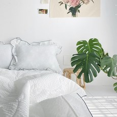 라라슈여름이불시어서커