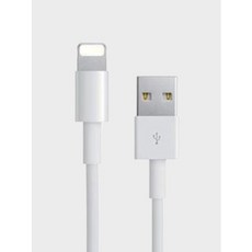 usbto라이트닝