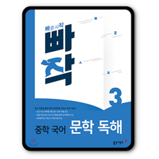 빠작비문학3